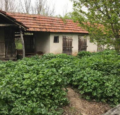 Снимка 5 — Едноетажна къща с 4 стаи в с. Обнова, област Плевен