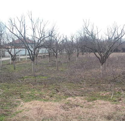 Photo 5 — House in Dobrich, Metodievo