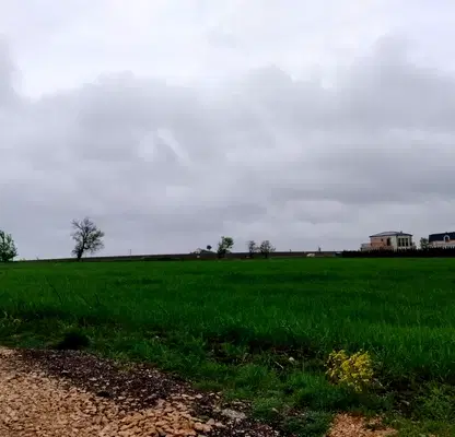 Photo 2 — Plot in Oblast Varna, Kichevo