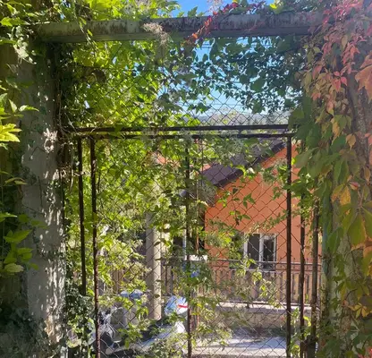 Photo 3 — House in Oblast Pazardjik, Bracigovo