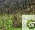 Снимка 2 — Промишлена сграда в Благоевград, с. Горно Спанчево