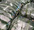 Снимка 5 — Бизнес имот в Благоевград, Петрич