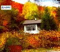 Снимка 3 — Къща в Пловдив, с. Свежен