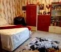 Снимка 3 — Къща в Стара Загора, с. Малка Верея