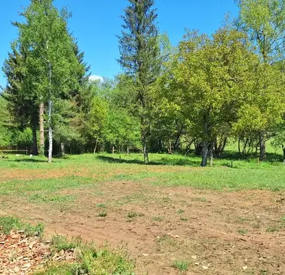 Photo 2 — House in Oblast Veliko Tyrnovo, Elena