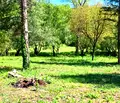 Снимка 3 — Къща във Велико Търново, Елена