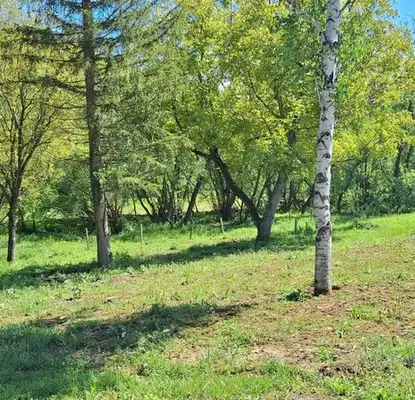 Photo 5 — House in Oblast Veliko Tyrnovo, Elena
