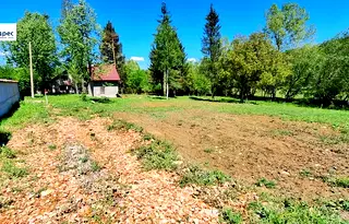 Къща във Велико Търново, Елена