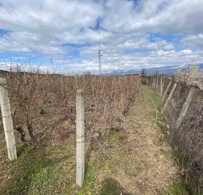 Photo 2 — Agricultural Land in Oblast Blagoevgrad, Goce Delchev