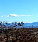 Парцел в с. Кътина