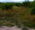 Снимка 2 — Парцел в с. Бистрица
