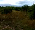 Снимка 3 — Парцел в с. Бистрица