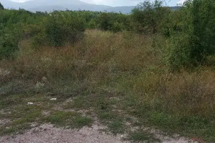 Парцел в с. Бистрица