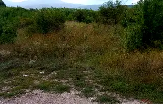 Парцел в с. Бистрица