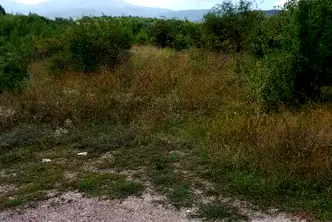 Парцел в с. Бистрица