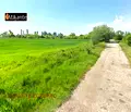 Снимка 3 — Парцел в Банкя