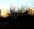 Снимка 4 — Парцел във Велико Търново, Бузлуджа