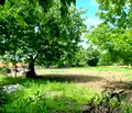 Снимка 5 — Парцел в Раз, Промишлена зона - Запад