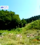 Парцел в Смолян, Устово
