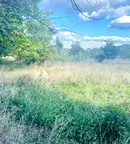Парцел в Търговище, Вилна зона
