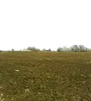 Парцел в Бургас, с. Медово