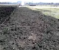 Снимка 4 — Парцел в Добрич, Балчик