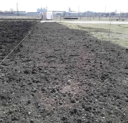 Снимка 4 — Парцел в Добрич, Балчик