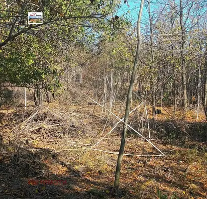 Photo 4 — Plot in Oblast Dobrich, Chernomorci