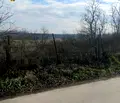Снимка 2 — Парцел в Добрич, с. Сноп
