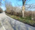 Снимка 3 — Парцел в Добрич, с. Сноп