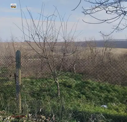 Снимка 5 — Парцел в Добрич, с. Сноп