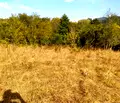 Снимка 2 — Парцел в Ловеч, с. Велчево