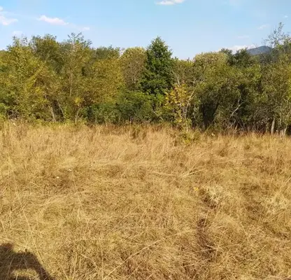 Photo 2 — Plot in Oblast Lovech, Velchevo