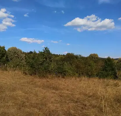Photo 3 — Plot in Oblast Lovech, Velchevo