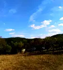 Парцел в Ловеч, с. Велчево