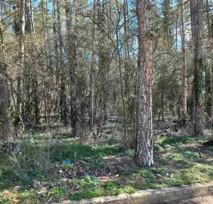 Photo 3 — Plot in Oblast Stara Zagora, Starozagorski Bani