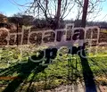 Снимка 3 — Парцел във Варна, с. Гроздьово