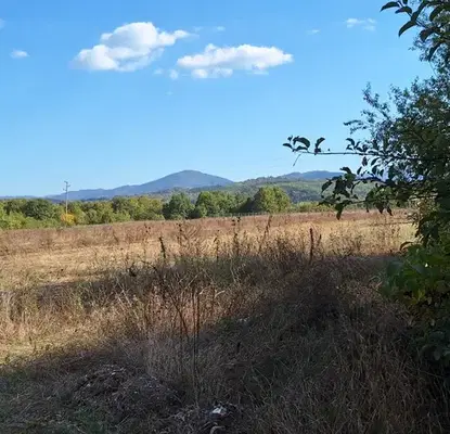Photo 2 — Plot in Oblast Veliko Tyrnovo, Elena