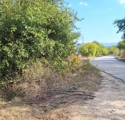 Photo 3 — Plot in Oblast Veliko Tyrnovo, Elena