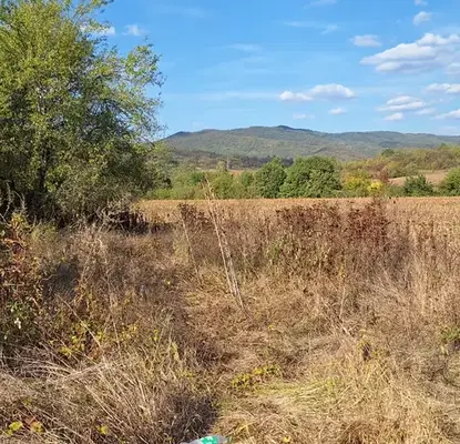 Photo 4 — Plot in Oblast Veliko Tyrnovo, Elena