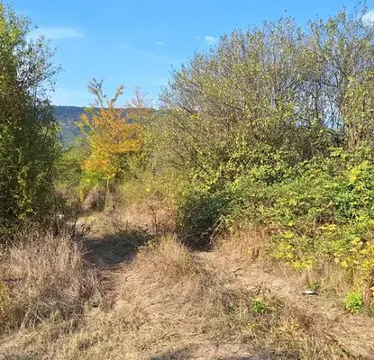 Photo 5 — Plot in Oblast Veliko Tyrnovo, Elena