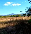 Парцел във Велико Търново, Елена