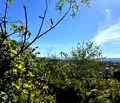 Снимка 4 — Парцел във Велико Търново, с. Присово