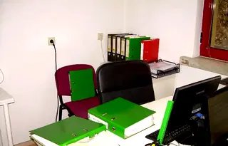Офис в София, Белите брези