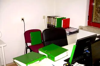 Офис в София, Белите брези