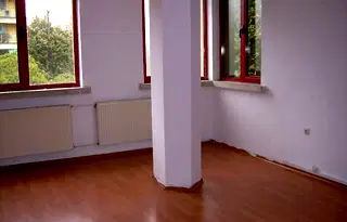 Офис в София, Белите брези
