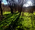 Снимка 4 — Къща в Добрич, с. Росица