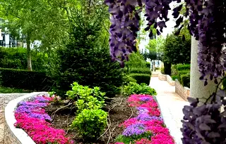 Многостаен апартамент в Бургас, Свети Влас