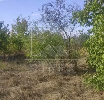 Photo 3 — Agricultural Land in Oblast Plovdiv, Branipole
