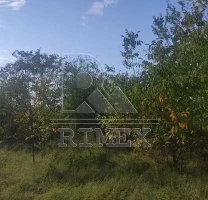 Photo 4 — Agricultural Land in Oblast Plovdiv, Branipole